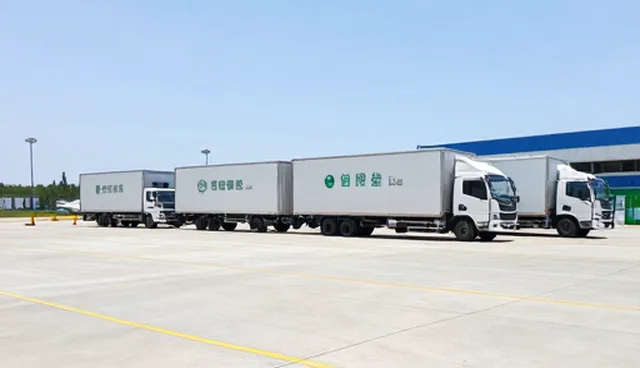 冷链运输服务选型关注点，提升仓储效率的关键